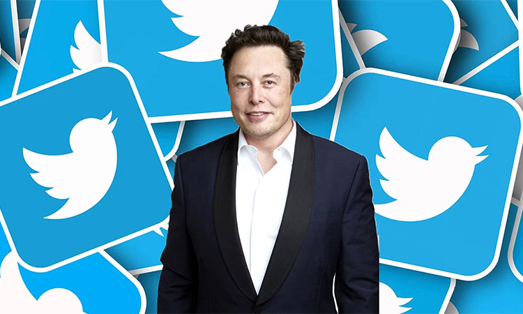 Elon Musk's brief stint at Twitter has been a roller coaster ride.