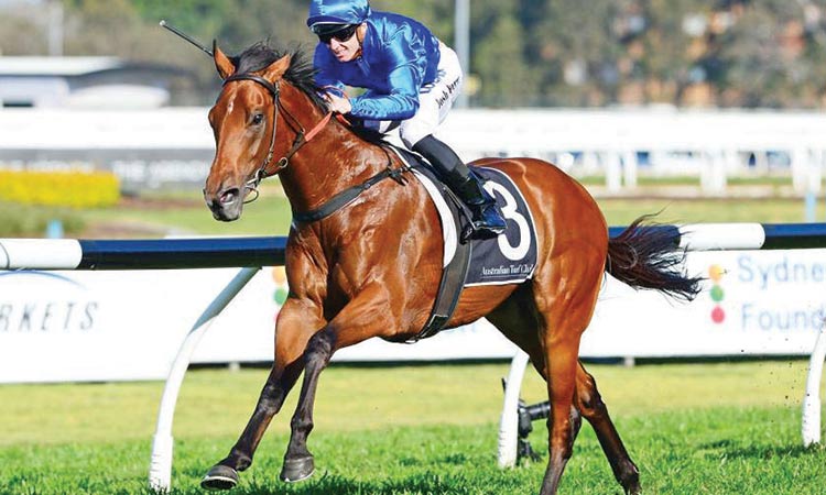 Bivouac out to emulate Sepoy in G1 Manikato Stakes at Moonee Valley