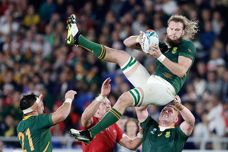 S-Africa-rugby-750