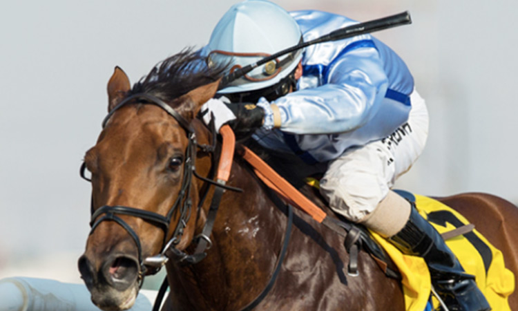 Horse-Race-750