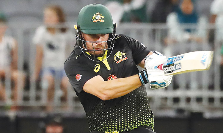 Australia primed to end Twenty20 World Cup drought, says Gilchrist