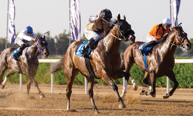 Well-bred Rich and Famous   tops Al Ain feature today