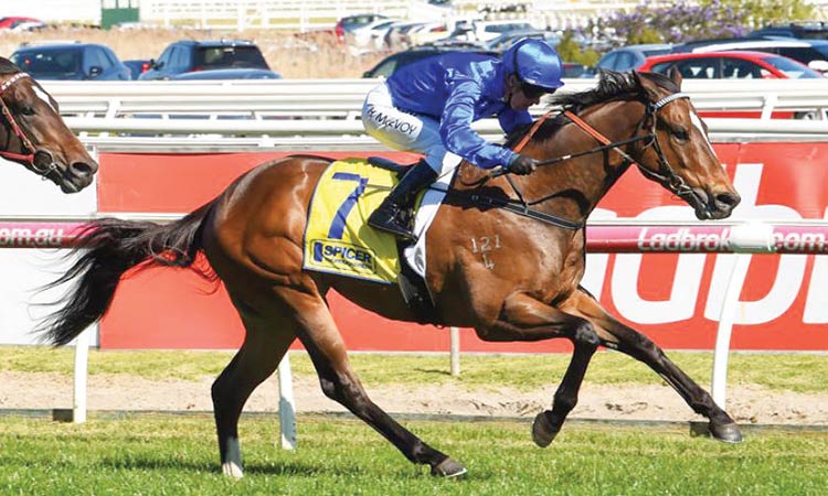 Trekking leads trio charge  at G1 Winterbottom Stakes
