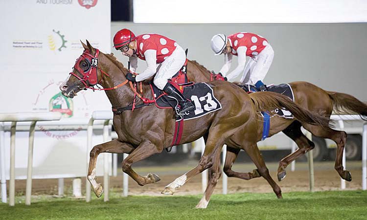 Shamal Nibras seeks third win in Abu Dhabi feature today