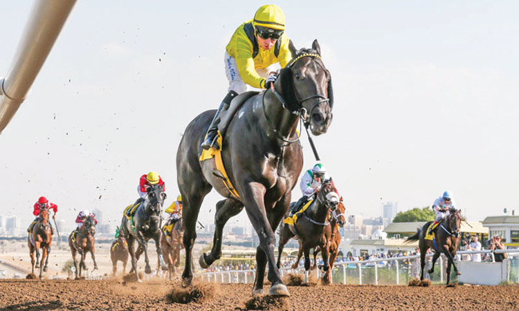 Racing at Jebel Ali to return soon as track makeover in full swing