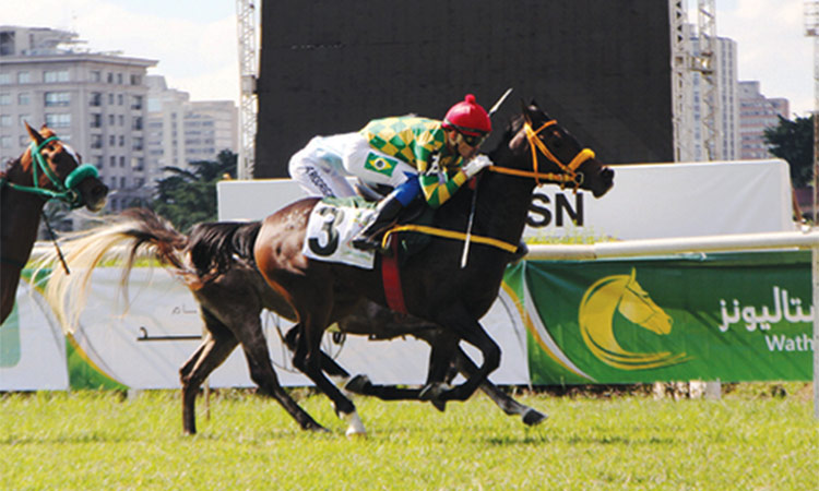 Horse-Race
