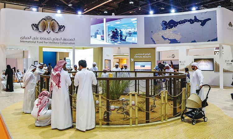 Exhibition-Abu-Dhabi