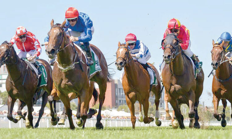 Another G1 on offer for Hartnell  and Alizee in the Memsie Stakes
