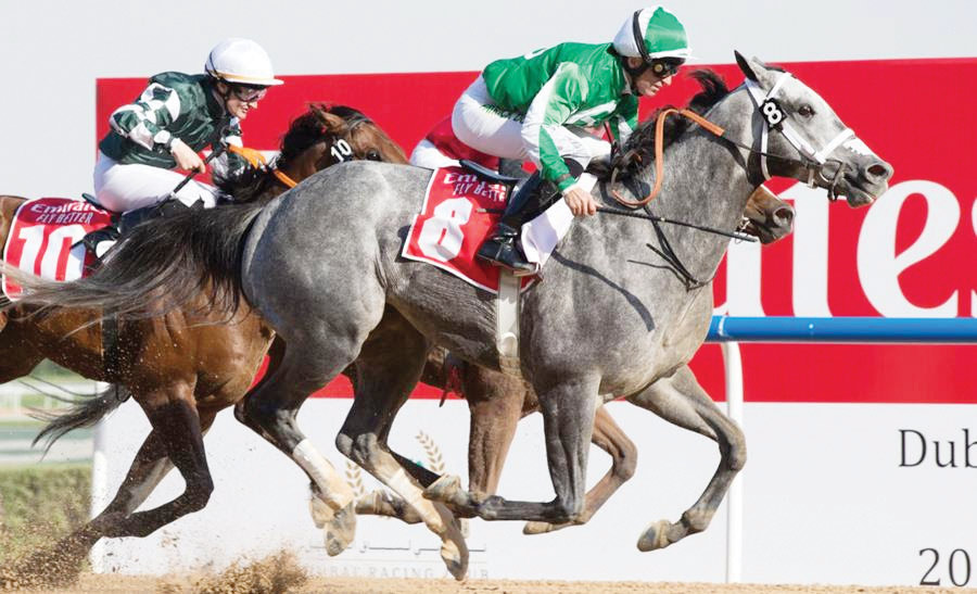 $960,000 up for grabs as DWC  Carnival gets under way today