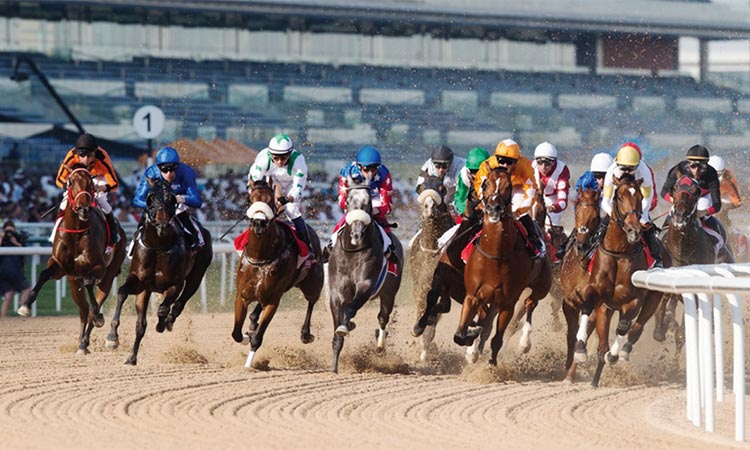 Dubai-World-Cup-Horse-Race
