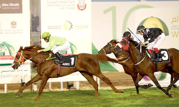 Abu-Dhabi-Six-Race-Card