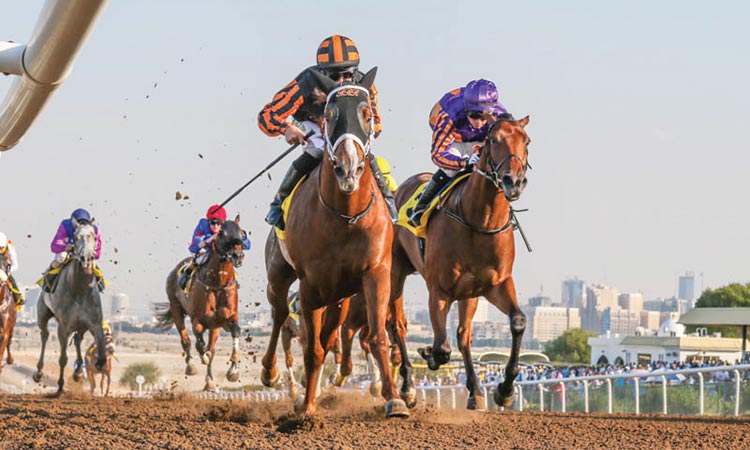 Untiring efforts pay off as racing  returns to Jebel Ali on Jan.24