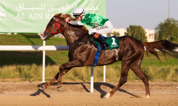 horse-race-AL-Ain
