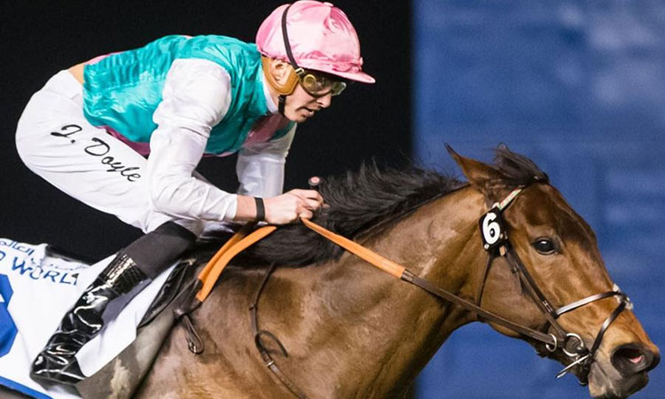 Star-studded lineup at Meydan today