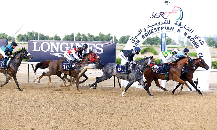 Horse Racing Sharjah
