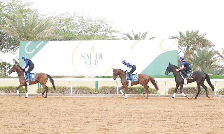 Horse-Racing-Saudi