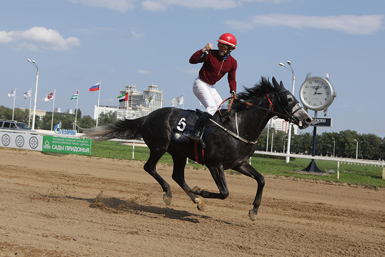 Horse-race-750x450