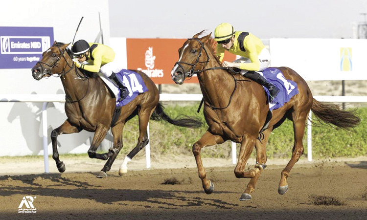 Ben Coen guides Sadaaty to victory in the Al Sufouh Stakes at Jebel Ali Racecourse.