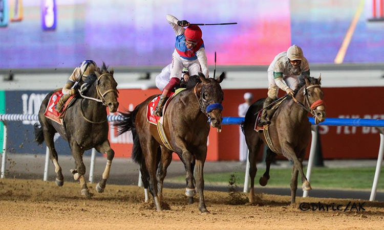 A strong field of quality horses from across the globe will feature in the Dubai World Cup line-up.