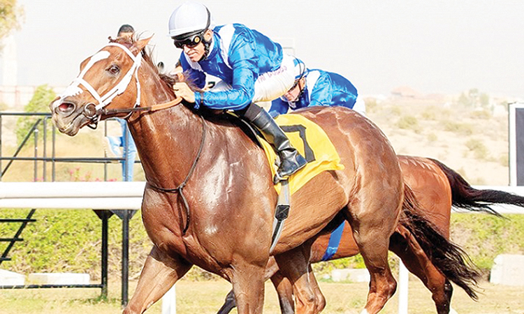 Doug Watson’s Khuzaam and Al Tariq are among favourites for Emirates Airline Cup.