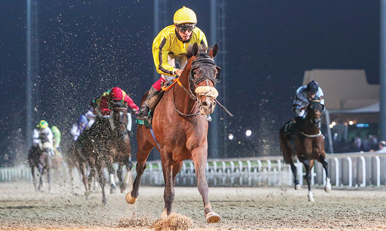 First of three legs of Al Ain Marathon Series gets under way with Thursday’s card. File