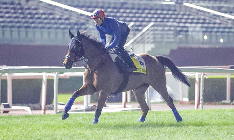 Lord North and Frankie Dettori during a workout on the turf track at Meydan.