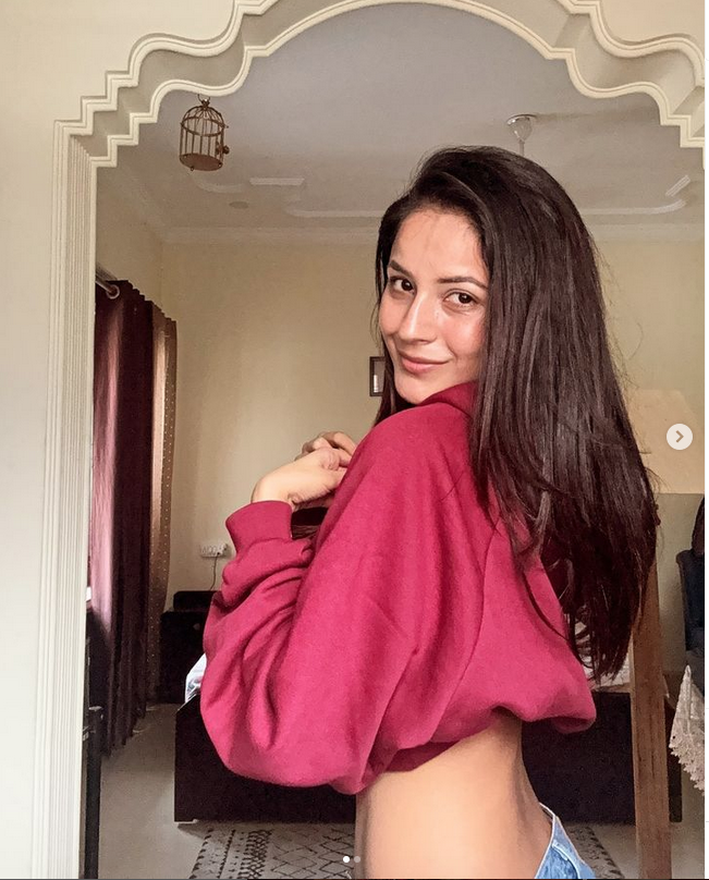 Shehnaaz Gill leaves fans drooling over her toned back in latest pic