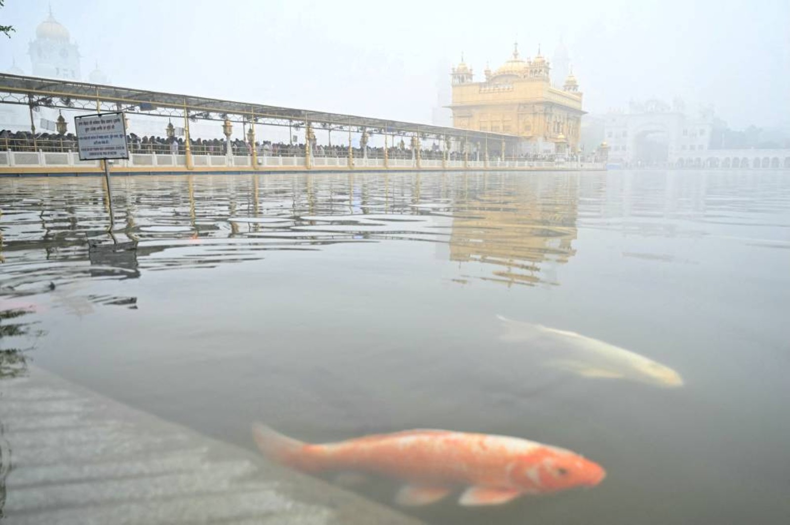 Delhi introduces stricter anti-pollution steps as toxic smog hides Taj Mahal and Golden Temple
