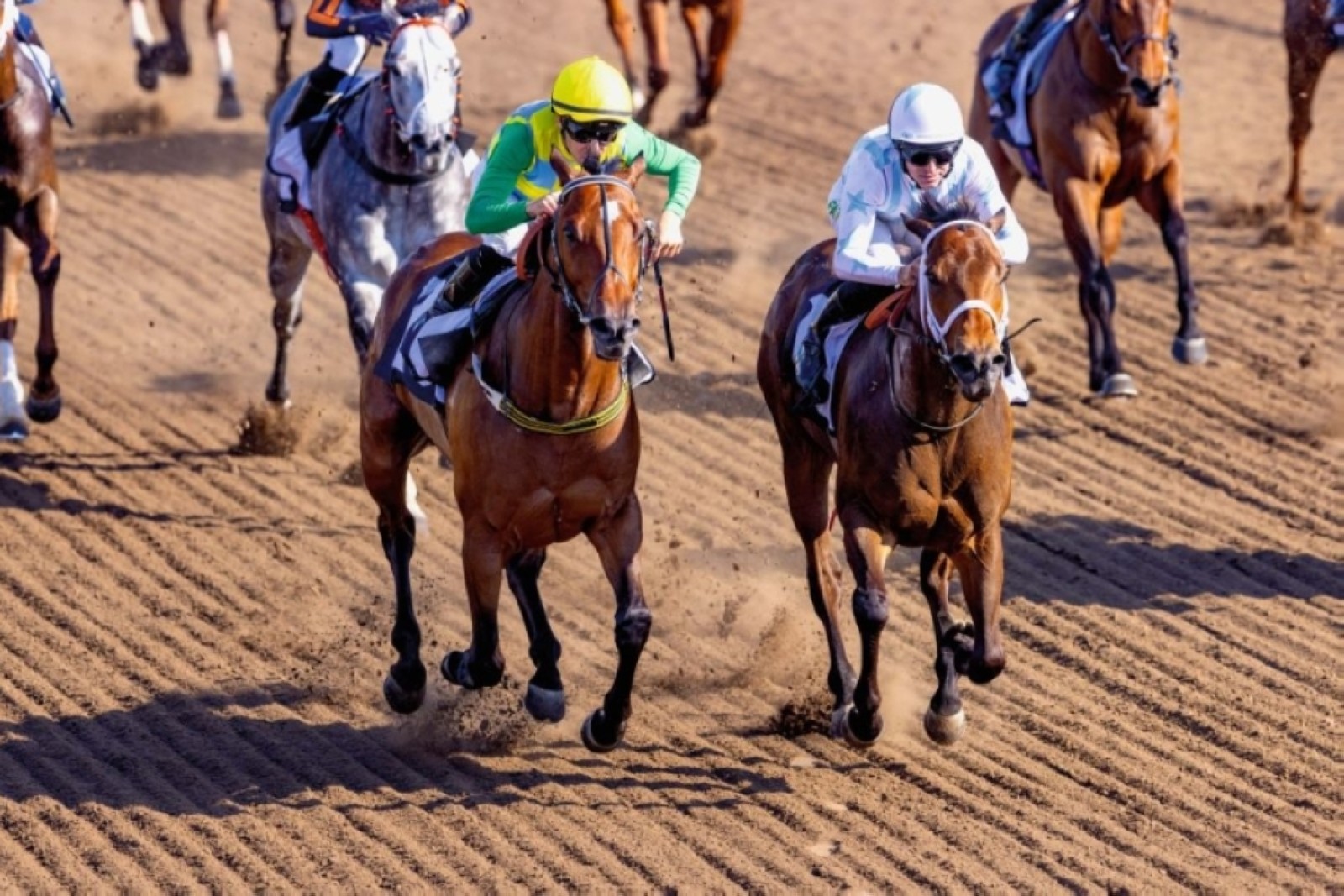 Crown Prince of Sharjah, Sheikh Ahmed Cups headline Sharjah’s second meeting