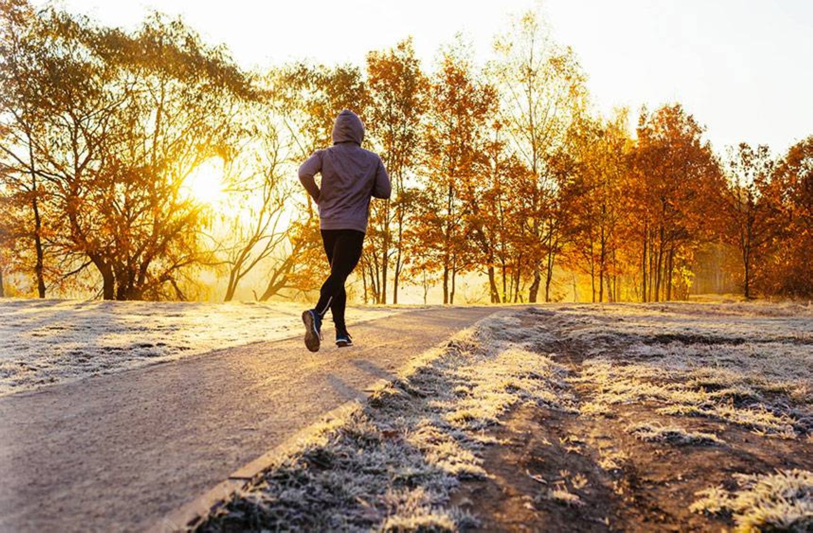 Nature can teach us how to live our best lives in winter