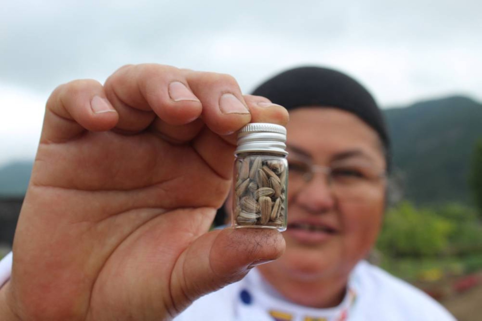 Chile's 'seed guardians' grow and protect forgotten food varieties