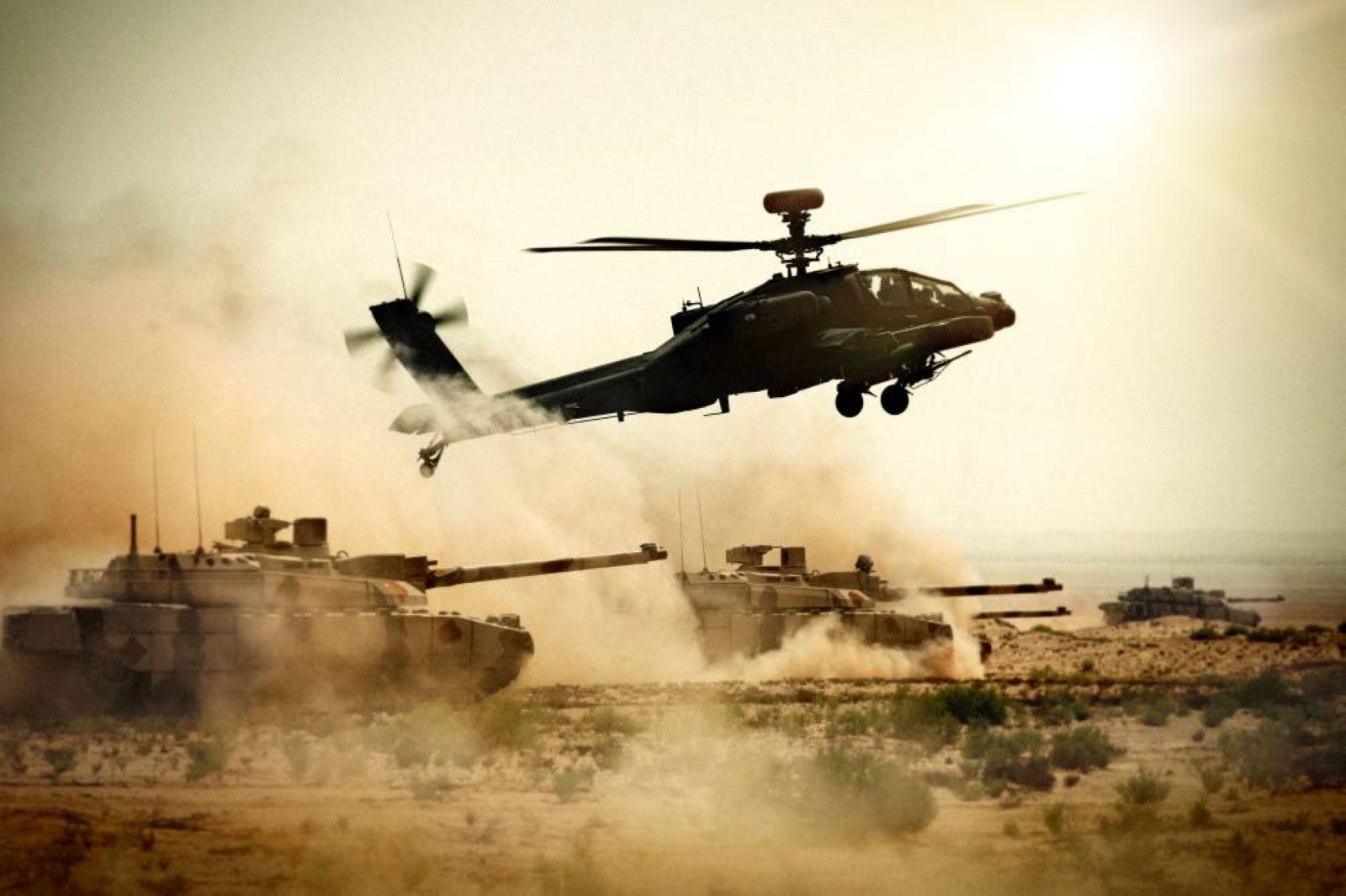 Al Ain to feature 'Union Fortress 10' military parade, exercises next month