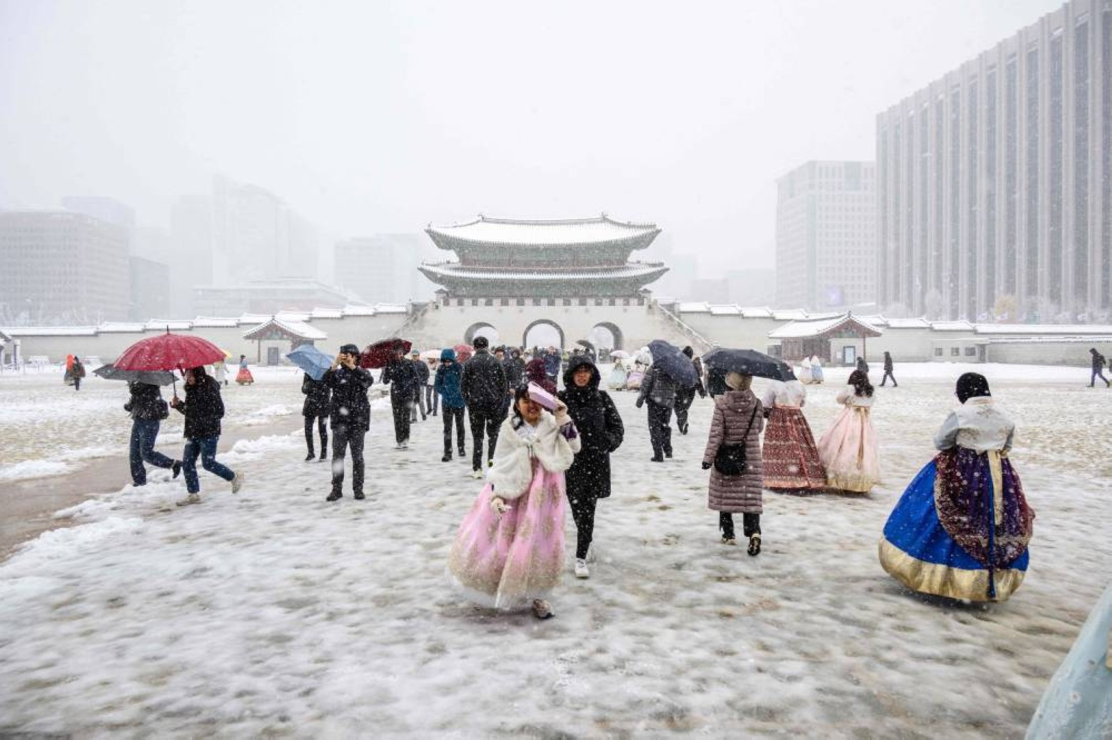 Hundreds of flights grounded, power cut as record November snowfall hits Seoul
