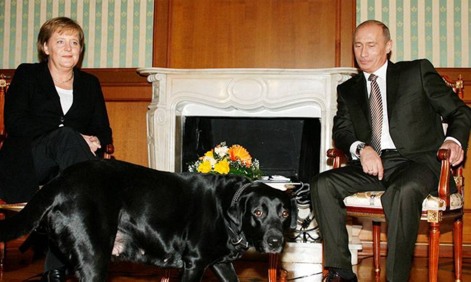 Putin denies he tried to frighten Merkel with dog Koni