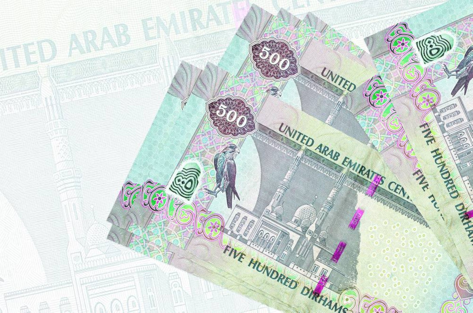 UAE waives 1,277 citizens' debt worth Dhs401 million