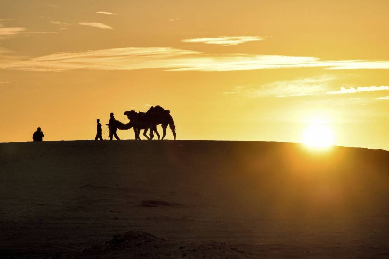 Tunisia's tourism revenues exceed $2.2 billion