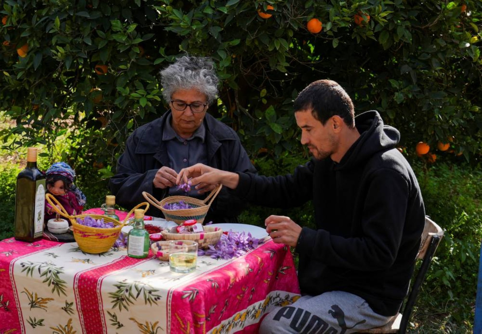 Two farmers bring saffron to Tunisia amid a changing climate
