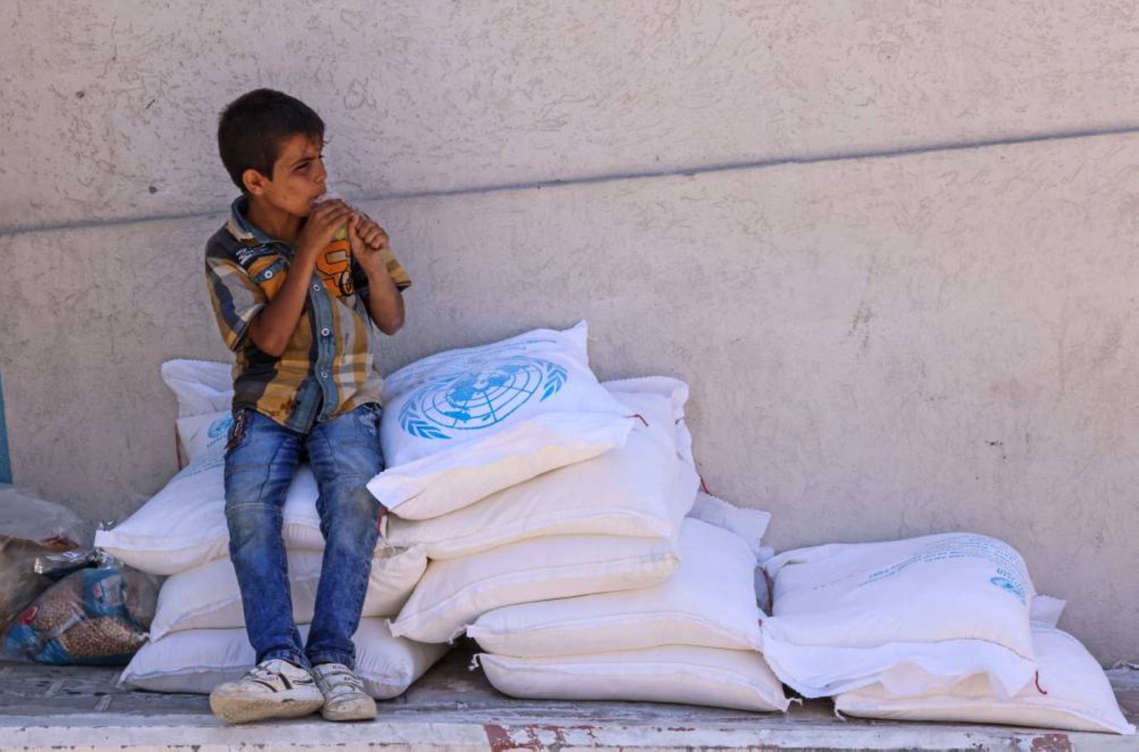 UAE tops Gaza support with $828 million contribution