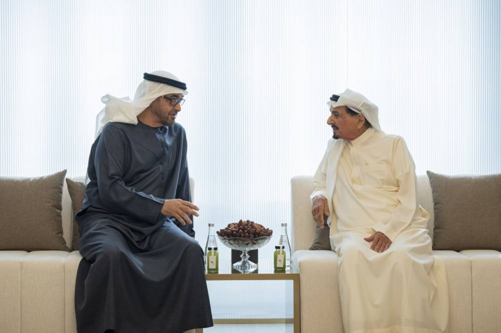 UAE President, Ajman Ruler discuss issues of national interest