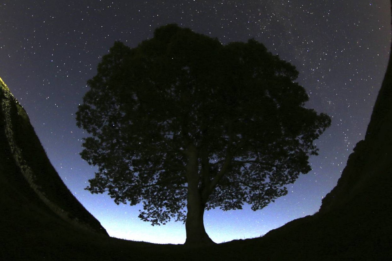 Two men on trial for cutting down UK's famous Sycamore Gap tree