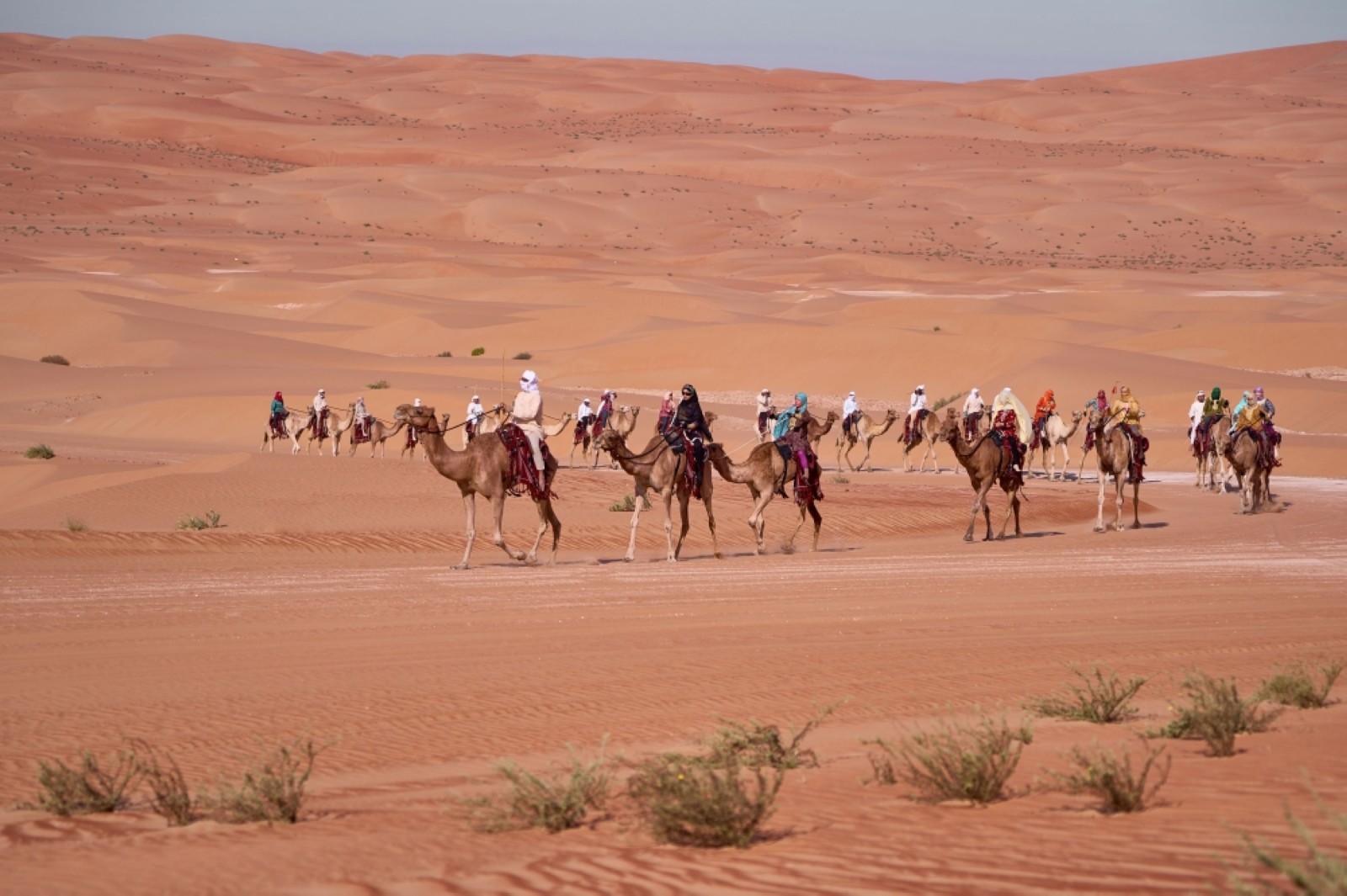 Camel Trek embarks on epic journey across Western Desert