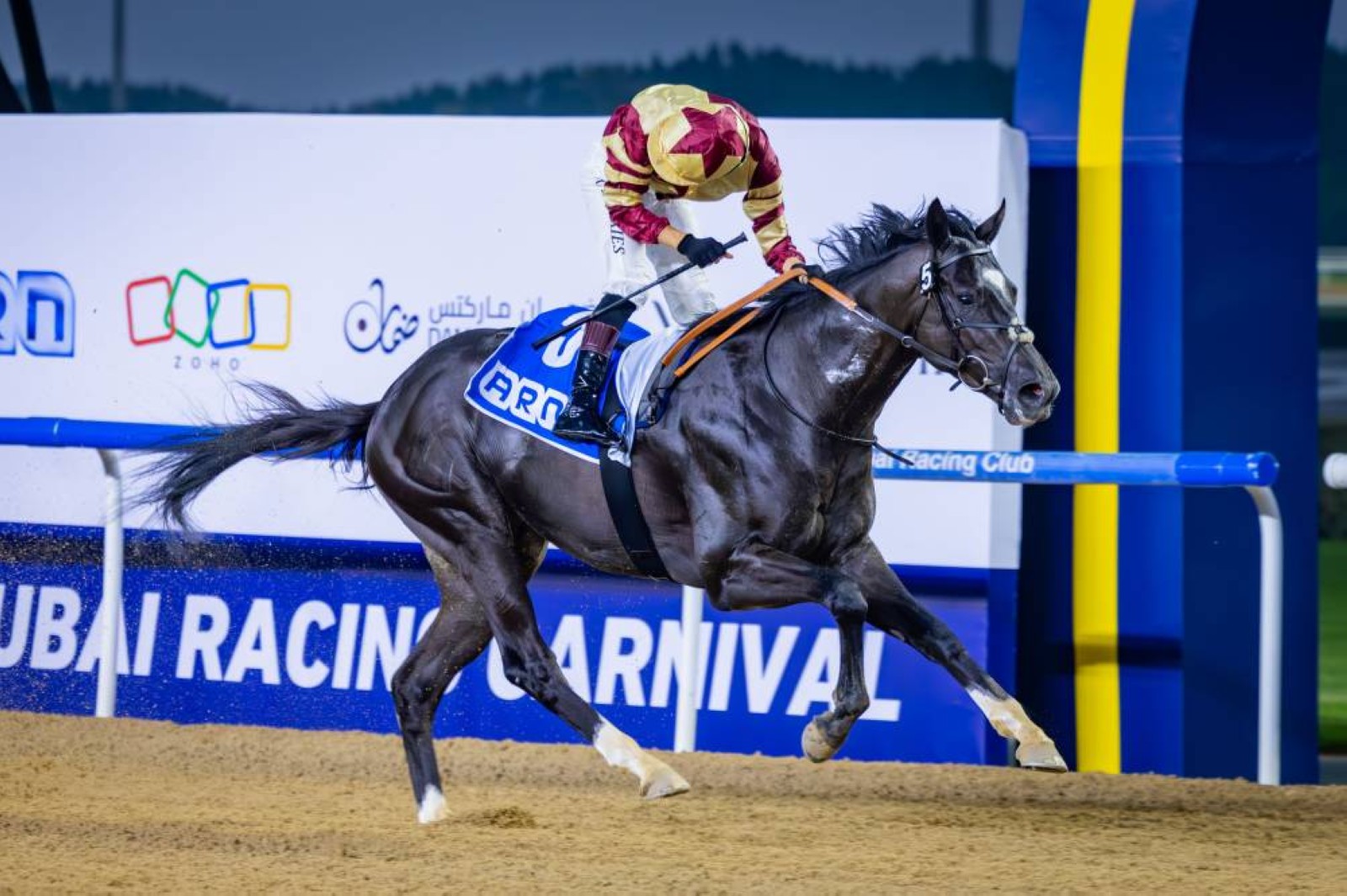 Dubai Racing Club welcomes strong international presence for Carnival