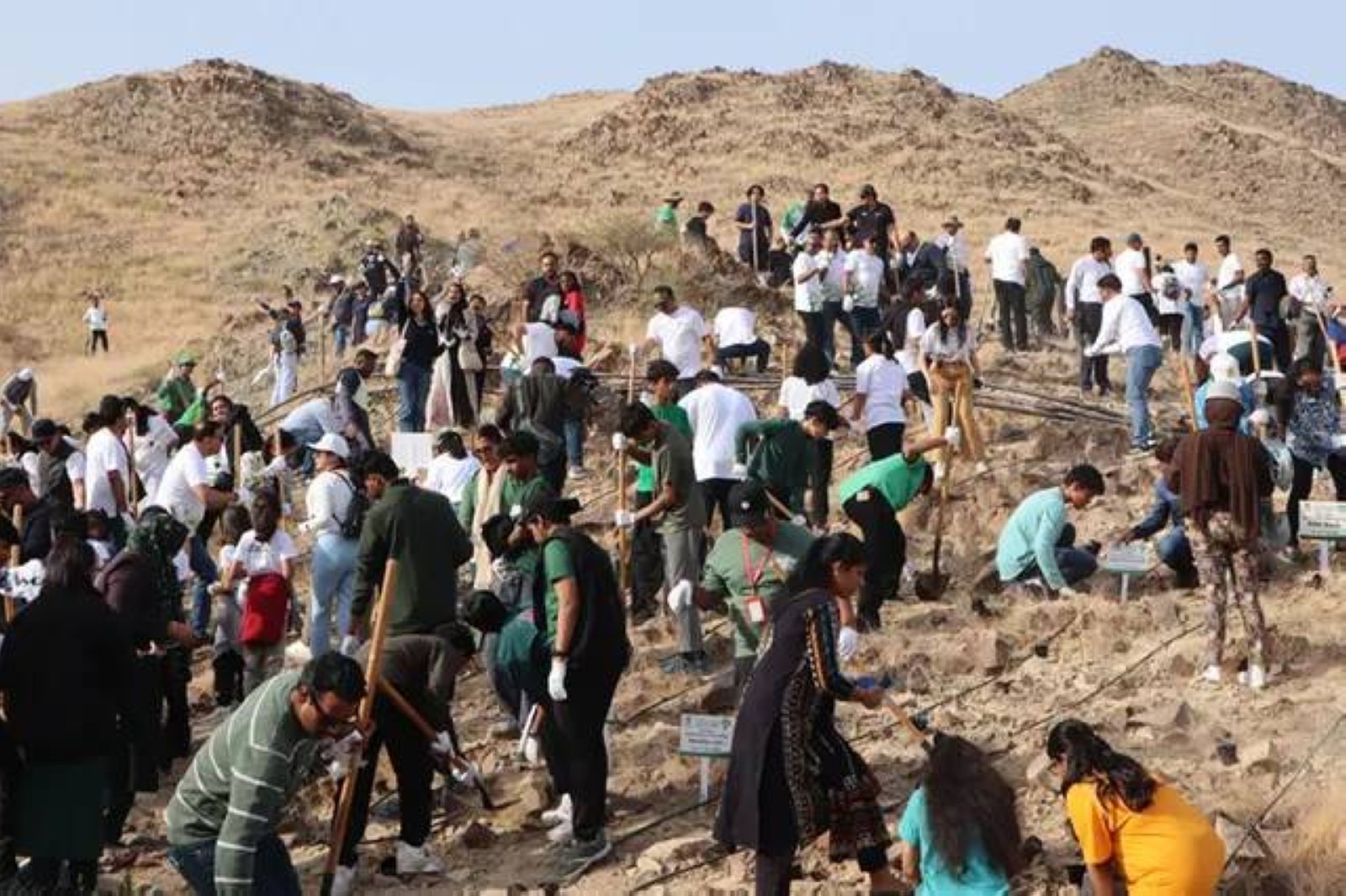 Emirates Environmental Group plants over 15,800 trees in ’24