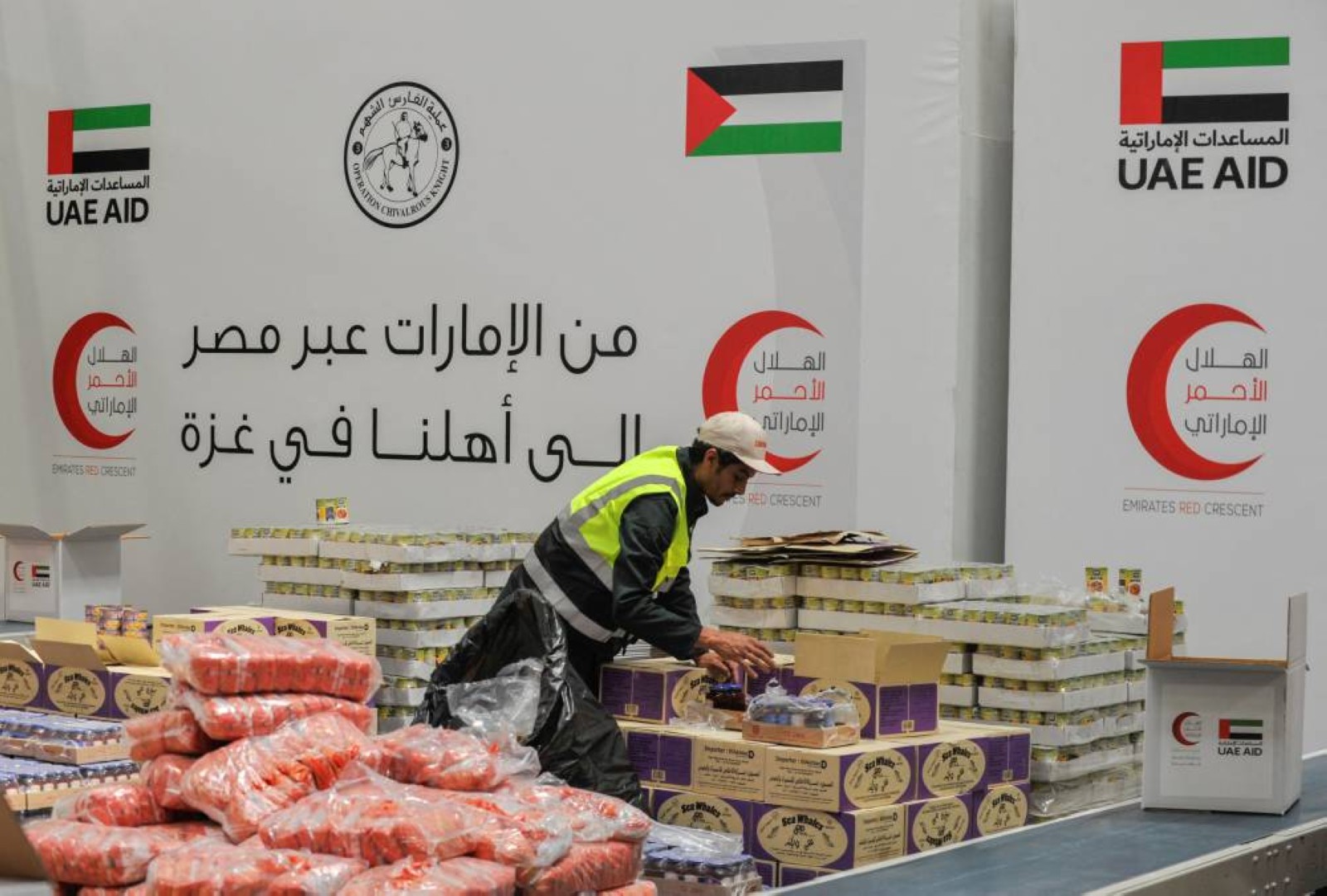 UAE leads global humanitarian efforts in 2024