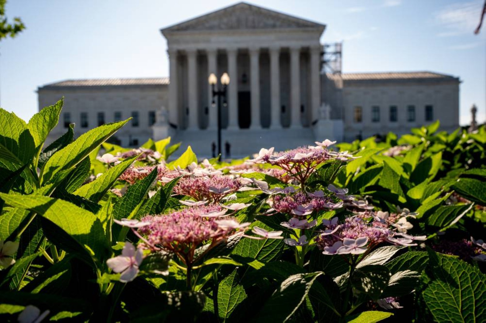 Judges topple gun restrictions as courts chart path forward