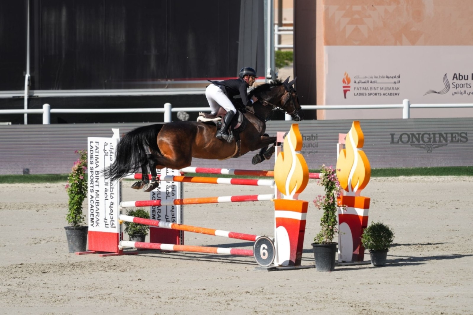 Huge number of participants for Show Jumping Cup