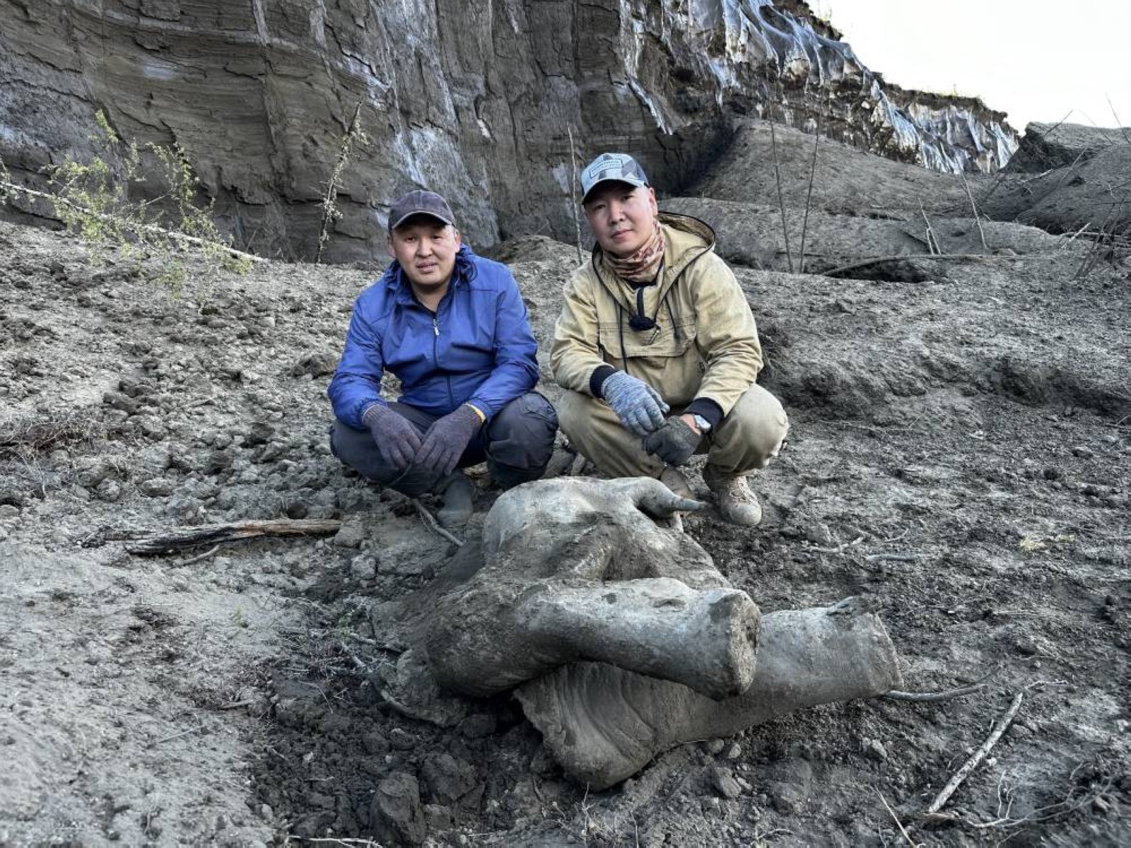 Extremely rare baby mammoth found in Siberia