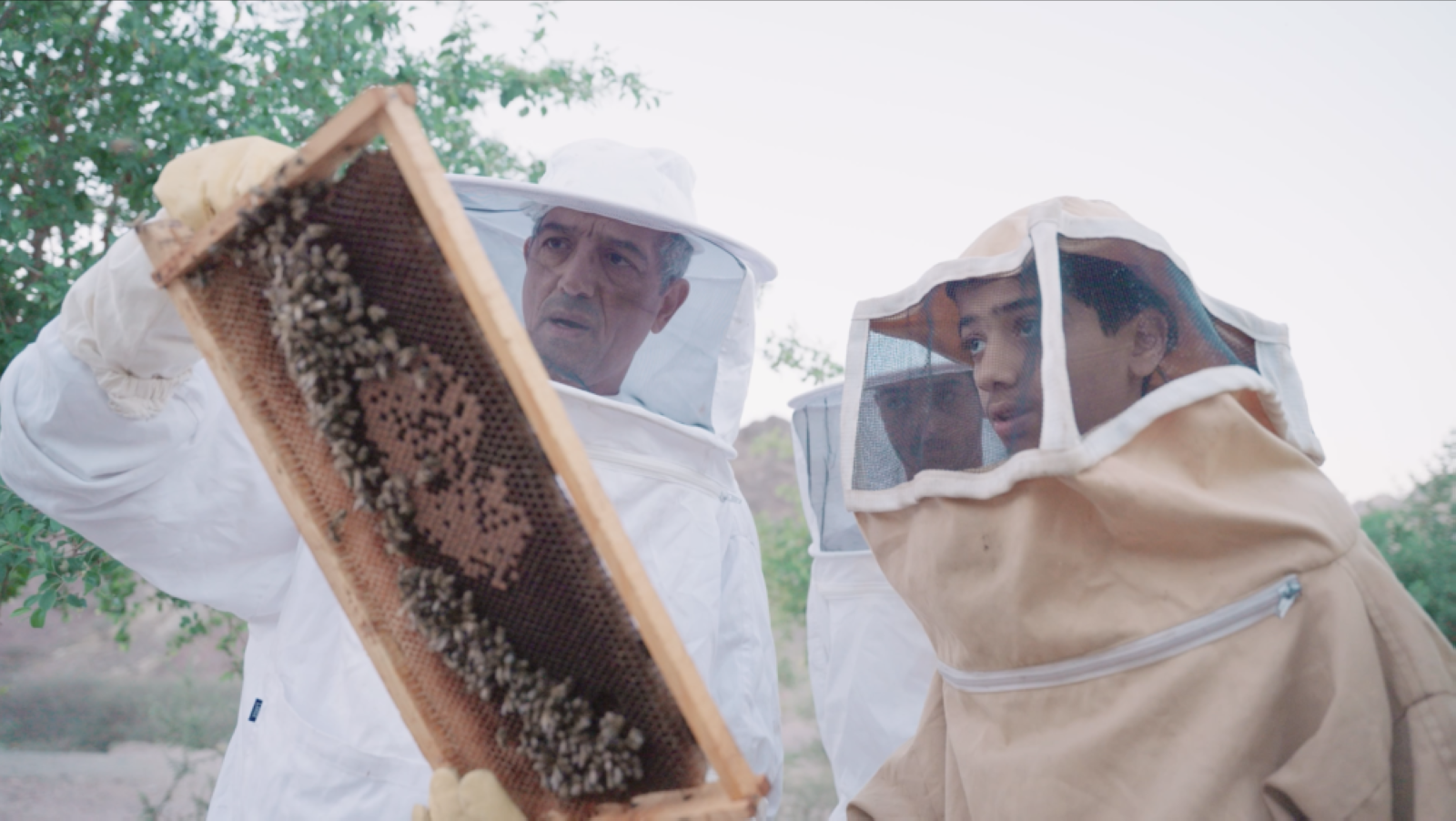 Dubai launches 9th season of Hatta Honey Festival
