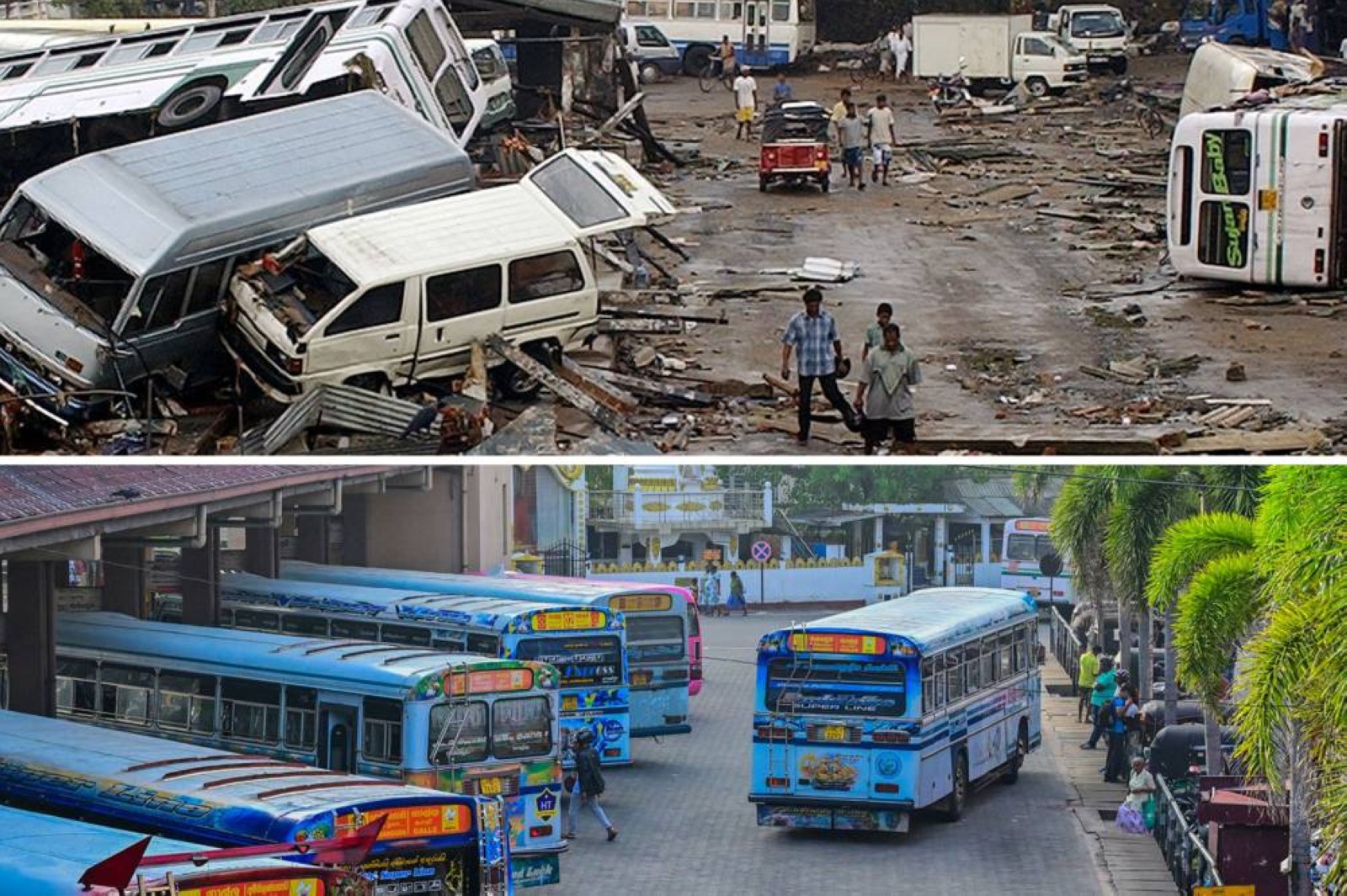 Coping with destruction unleashed by tsunamis