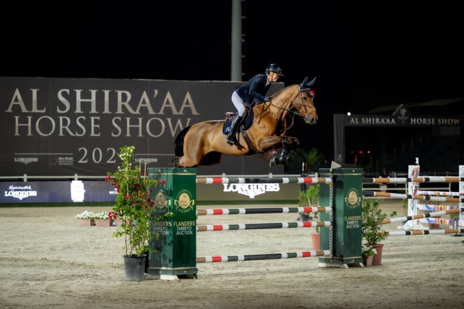 World-Class riders to compete at 8th Al Shira’aa International Horse Show